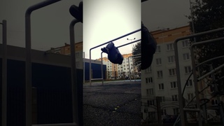 Подтягивания в переднем висе.  #workout #calisthenics #воркаут #frontlever #переднийвис