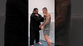 Ser que Steven Seagal precisava ter batido com tanta fora #stevenseagal #seagal #aikido