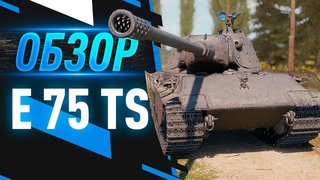 E 75 TS - Лучший премиум танк 8-го уровня | Как играть на E 75 TS