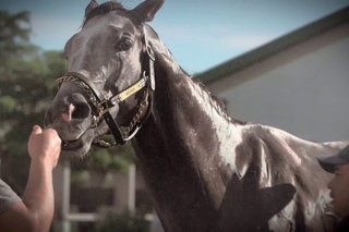 Mohaymen, Nyquist Meet in 2016 Florida Derby