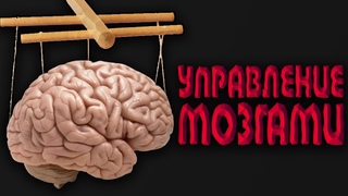 ЧТО ТАКОЕ ГНИЛАЯ СЕЛЕДКА как тебя заставляют верить в ложь