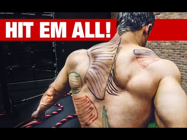 Best Back Workout Video Ever ( HIT EVERY MUSCLE