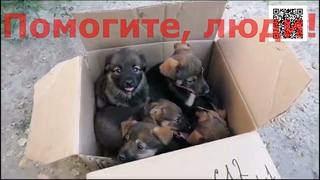Что не такWhat's wrong