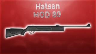 Hatsan MOD 80