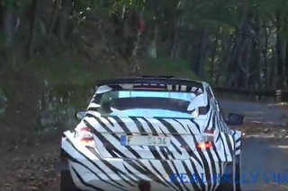 Test NEW SKODA FABIA R5 2015