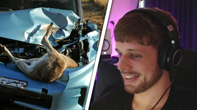 Misfits Hit a Kangaroo With Their