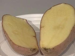 Экспертиза картофеля