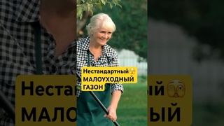 Новинка ландшафтного дизайна Малоуходный МИКРОКЛЕВЕР