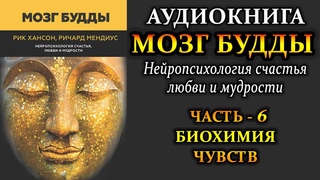 Аудиокнига Мозг Будды [Часть 6. Биохимия Чувств]