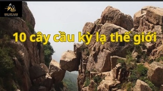 10 Cy cu k l th gii ng s c tht.
