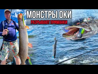 Подобрали КЛЮЧ к ТОЛСТЫМ ЩУКАМ | Продолжаем осваивать GARMIN PANOPTIX | ТРОФЕЙНАЯ РЫБАЛКА НА ОКЕ