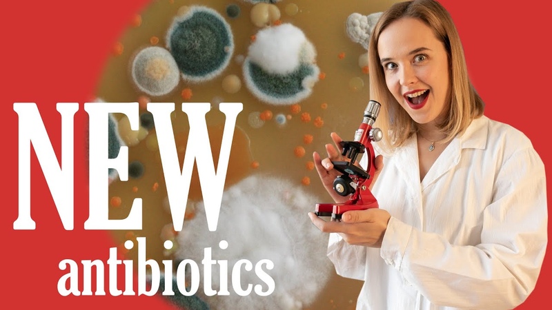 Against superbugs: Russian science discovered the source of new