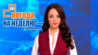 Тёплые ночи и +24 днём! Погода в Беларуси на неделю | Прогноз синоптиков с 21 по 26 мая | Плюс-минус
