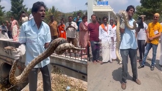 Huge Python Hulchul Near Tirumala Srivari Seva Sadan