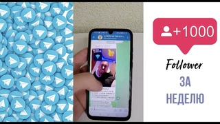 Отзыв №12 о сервисе Best Followers от Полухина Константина