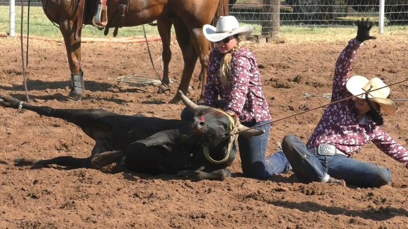 Team Doctoring 2019 WRRA Roaring Springs Rodeo 1st