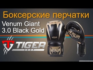 Боксерские перчатки Venum Giant 3.0 Black Gold | TIGERSHOP