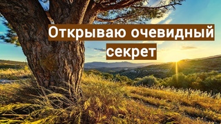 СЕКРЕТ, который у всех перед глазамиОрганика для грядок БЕСПЛАТНО №372/24