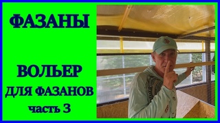 ФАЗАНЫ.ВОЛЬЕР ДЛЯ ФАЗАНОВ 3.КЛЮЧЕВЫЕ МОМЕНТЫ.РАЗВЕДЕНИЕ И СОДЕРЖАНИЕ ФАЗАНОВ.
