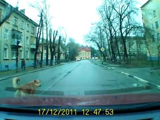 Новый метод ограничения скорости в населенных пунктах