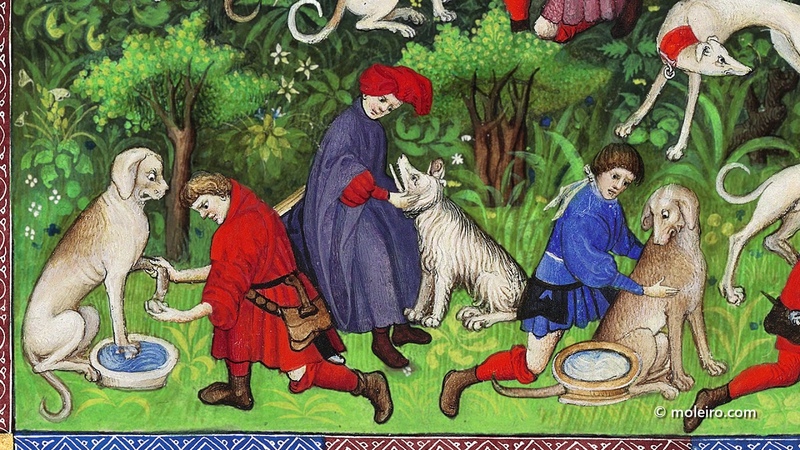 Caring for Hunting Dogs (folio 40v) by Gaston