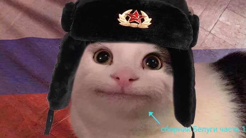 сборник белуги часть 1 (6