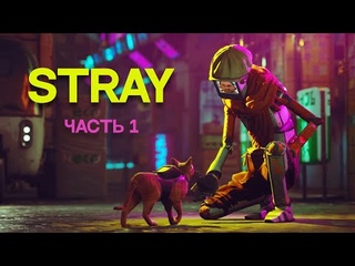 SNAILKICK: Прохождение “STRAY“ (Часть 1)