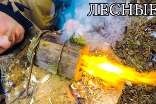 7 ПРОСТЫХ ЛАЙФХАКОВ ДЛЯ ЛЕСА