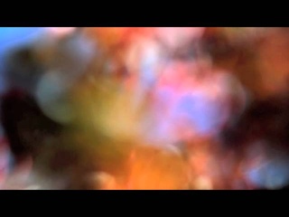 Ariel Pink - Phantasthma