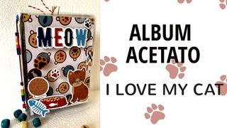 MINI ALBUM DE ACETATO I LOVE MY CAT