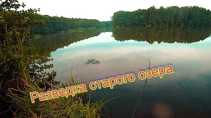 Лесное озеро. Карась и окунь. Семейный