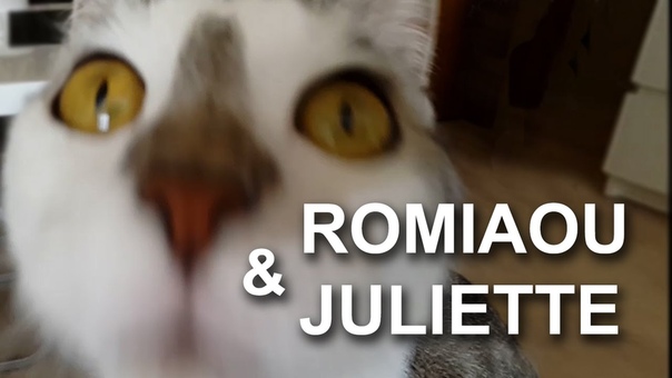 ROMIAOU JULIETTE PAROLE DE