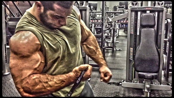 BADASS ARMS WORKOUT, 2 Lorenzo