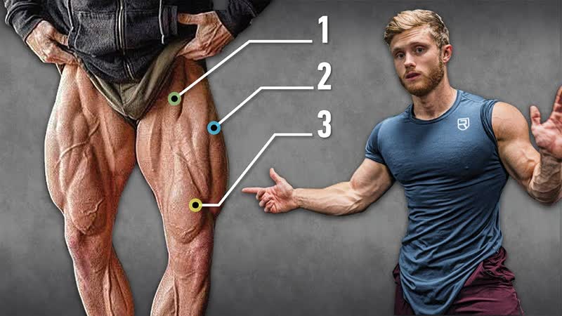 How To Do Leg Extensions With Perfect Technique ( Grow Every Quad