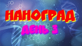 Наноград день 3