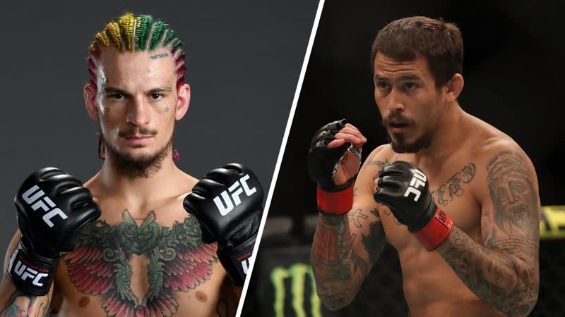 UFC 252: OMalley vs Vera
