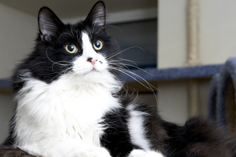 Катерина Uma rock♥n♥heart | Санкт-Петербург