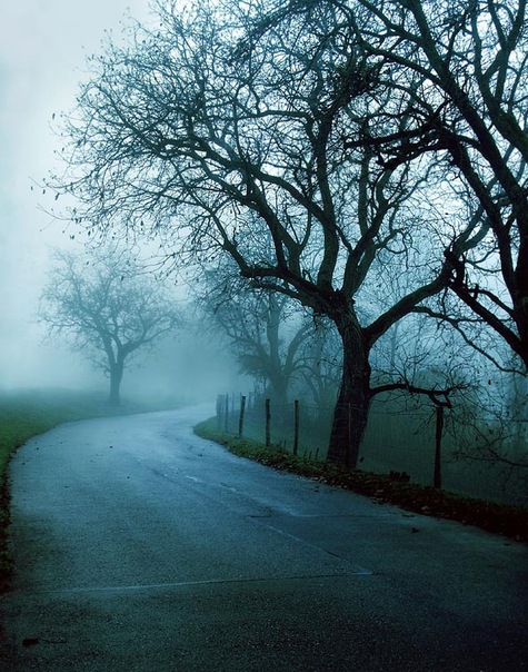 №58, Дарьё Olivera, Санкт-Петербург №58, Дарьё Olivera, Санкт-Петербург