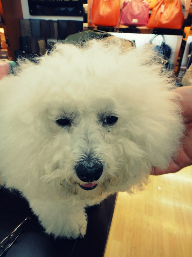 Таня Шулькина | Bat Yam