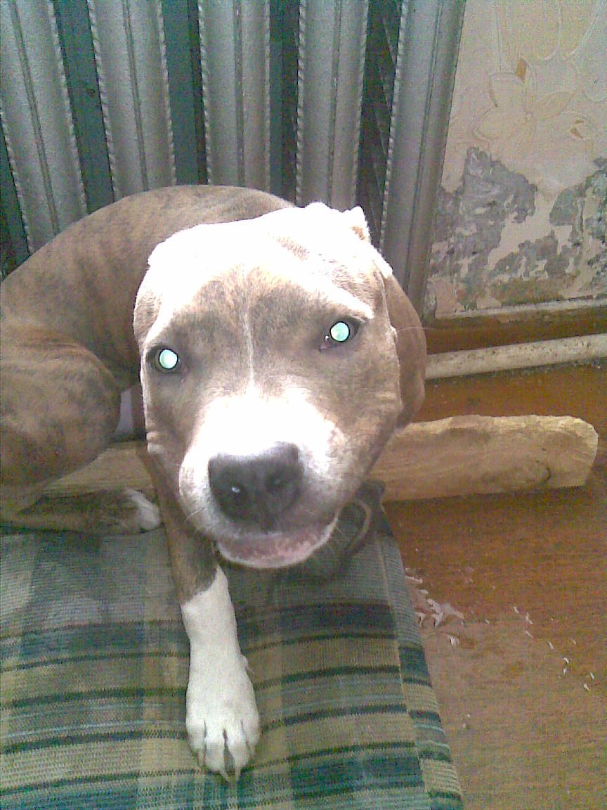 Ma Rqus | Астрахань