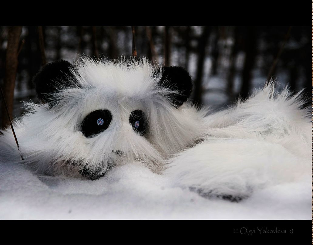 Ольга Яковлева Yolga | San Francisco