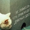 Аватар: Смысл Здравый