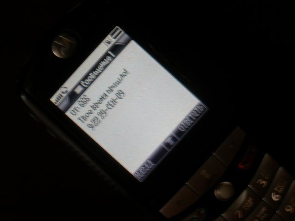 Алексей Семенов | Чебоксары