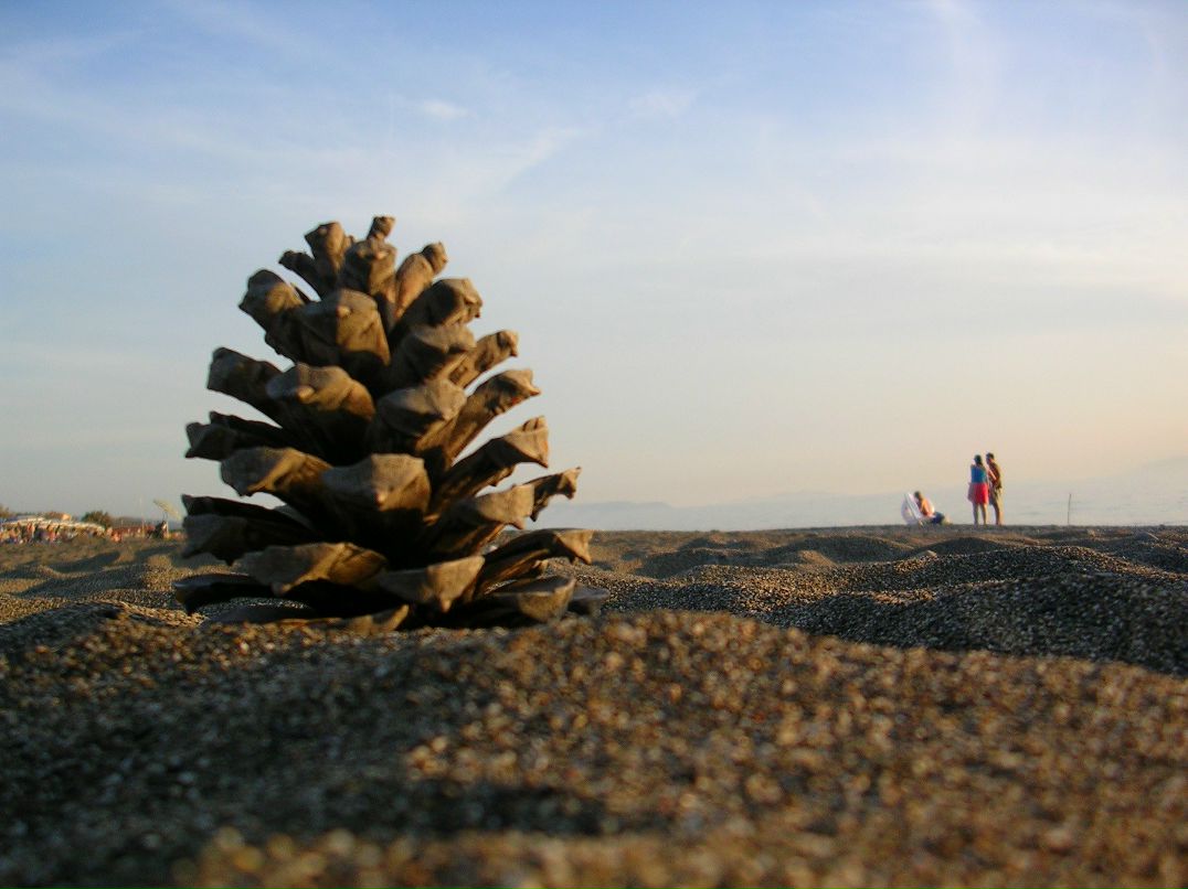 Юлия Нитиевская Ya-Yuliya | Москва