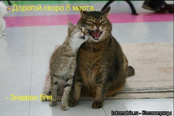 Александр Ильченко | Днепр (Днепропетровск)