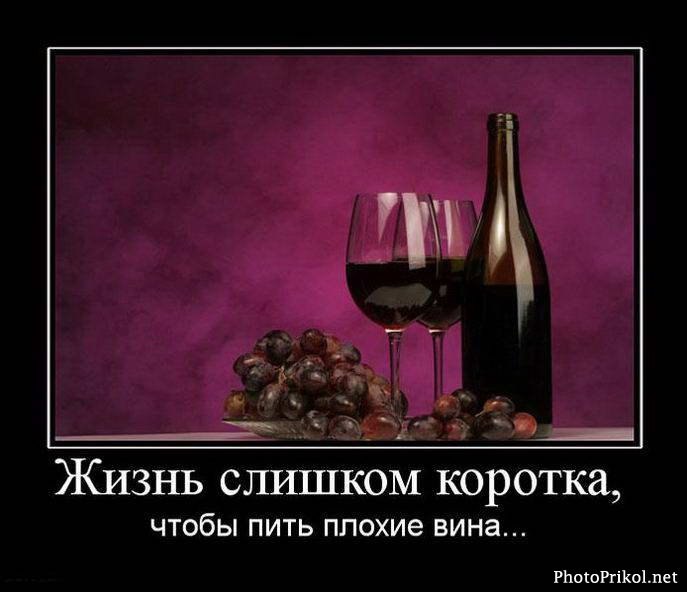 Анна Манохина | 