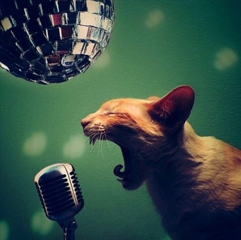 Анчик Пальчик С | Санкт-Петербург