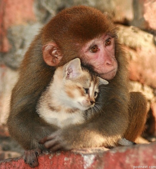 Юлия Есаулова | Санкт-Петербург