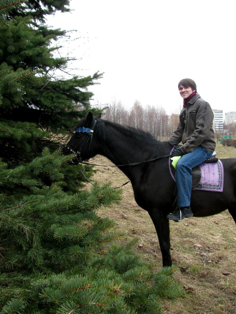 Николай Городецкий Aveal Coldman | Минск