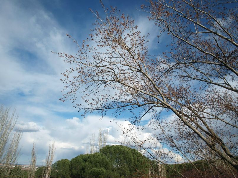 Анастасия Швецова ♥*•.¸ | Москва